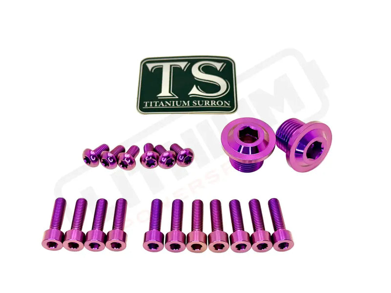 TS Titanium DNM/ KKE Fork Bolt Kits - Purple / Includes 2 Titanium axle-end bolts - Titanium Hardware