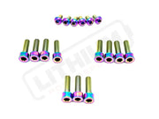 TS Titanium DNM/ KKE Fork Bolt Kits - Rainbow / Without axle-end bolts - Titanium Bolts