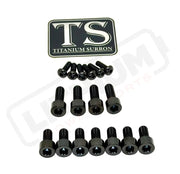 TS Titanium EXT Ferro Fork 11/17 Piece Bolt Kits - Black / 17 Pieces (with fork-plastic bolts) - Titanium Bolts