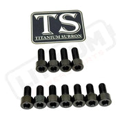 TS Titanium EXT Ferro Fork 11/17 Piece Bolt Kits - Black / 11 Pieces (without fork-plastic bolts) - Titanium Bolts