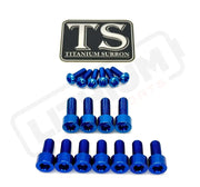 TS Titanium EXT Ferro Fork 11/17 Piece Bolt Kits - Titanium Bolts