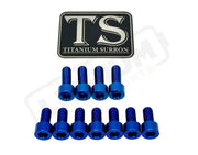 TS Titanium EXT Ferro Fork 11/17 Piece Bolt Kits - Titanium Bolts
