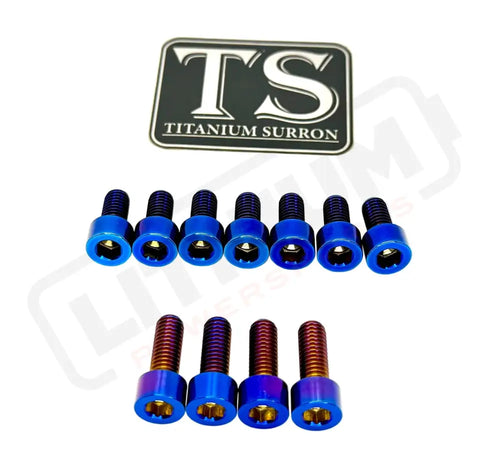 TS Titanium EXT Ferro Fork 11/17 Piece Bolt Kits - Burnt Blue / 11 Pieces (without fork-plastic bolts) - Titanium