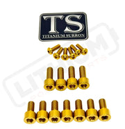 TS Titanium EXT Ferro Fork 11/17 Piece Bolt Kits - Gold / 17 Pieces (with fork-plastic bolts) - Titanium Hardware