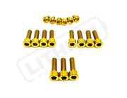 TS Titanium EXT Ferro Fork 11/17 Piece Bolt Kits - Lithium Powersports