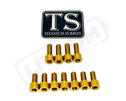 TS Titanium EXT Ferro Fork 11/17 Piece Bolt Kits - Gold / 11 Pieces (without fork-plastic bolts) - Titanium Bolts