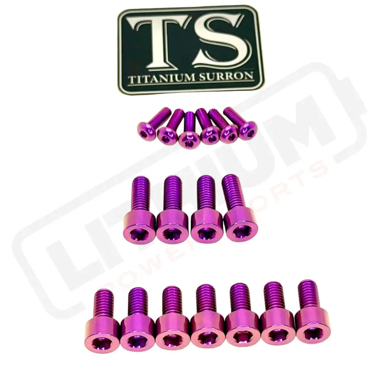 TS Titanium EXT Ferro Fork 11/17 Piece Bolt Kits - Purple / 17 Pieces (with fork-plastic bolts) - Titanium Hardware