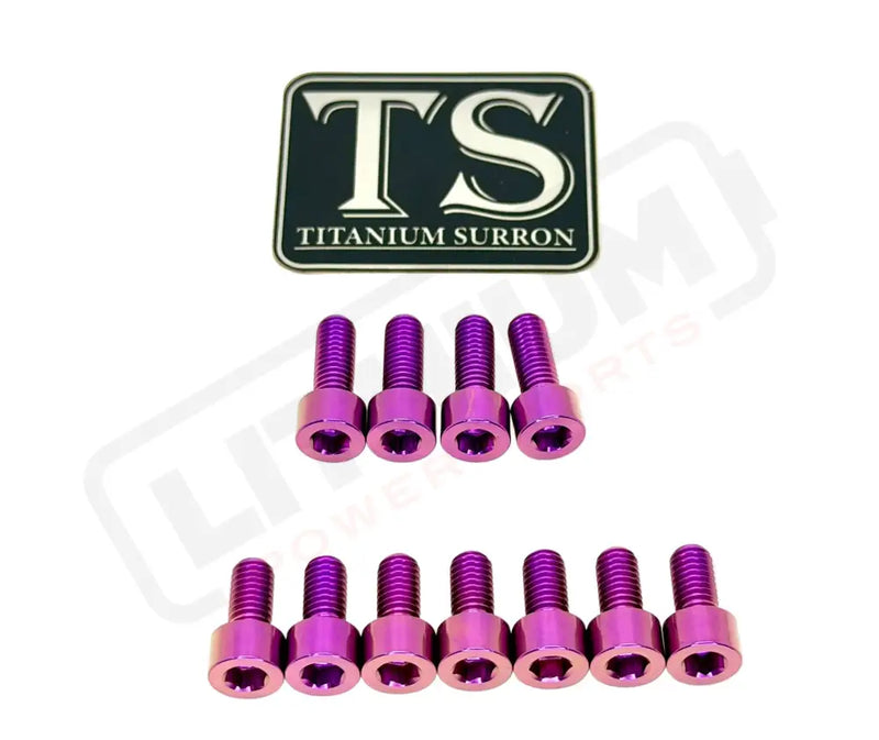 TS Titanium EXT Ferro Fork 11/17 Piece Bolt Kits - Purple / 11 Pieces (without fork-plastic bolts) - Titanium Bolts