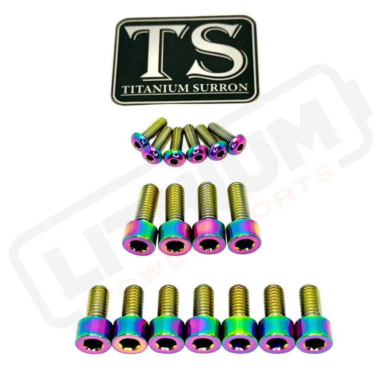 TS Titanium EXT Ferro Fork 11/17 Piece Bolt Kits - Rainbow / 17 Pieces (with fork-plastic bolts) - Titanium Bolts