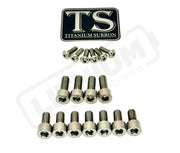 TS Titanium EXT Ferro Fork 11/17 Piece Bolt Kits - Silver (raw) / 17 Pieces (with fork-plastic bolts) - Titanium Bolts