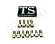 TS Titanium EXT Ferro Fork 11/17 Piece Bolt Kits - Silver (raw) / 11 Pieces (without fork-plastic bolts) - Titanium