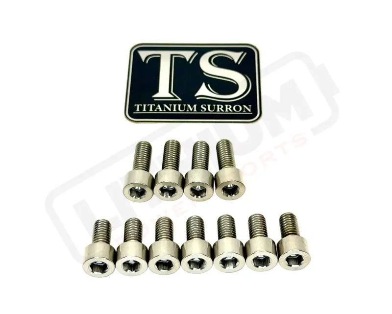 TS Titanium EXT Ferro Fork 11/17 Piece Bolt Kits - Silver (raw) / 11 Pieces (without fork-plastic bolts) - Titanium