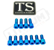 TS Titanium EXT Ferro Fork 11/17 Piece Bolt Kits - Teal / 11 Pieces (without fork-plastic bolts) - Titanium Bolts