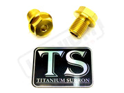 TS Titanium FastAce Fork Axle Bolts. ALX13RC (2.0) and AXH12RV (3.0) - Titanium Bolts
