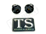 TS Titanium FastAce Fork Axle Bolts. ALX13RC (2.0) and AXH12RV (3.0) - Titanium Bolts