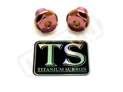 TS Titanium FastAce Fork Axle Bolts. ALX13RC (2.0) and AXH12RV (3.0) - Lithium Powersports