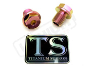TS Titanium FastAce Fork Axle Bolts. ALX13RC (2.0) and AXH12RV (3.0) - Lithium Powersports