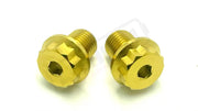 TS Titanium FastAce Fork Axle Bolts. ALX13RC (2.0) and AXH12RV (3.0) - Lithium Powersports