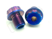 TS Titanium FastAce Fork Axle Bolts. ALX13RC (2.0) and AXH12RV (3.0) - Lithium Powersports