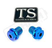 TS Titanium FastAce Fork Axle Bolts. ALX13RC (2.0) and AXH12RV (3.0) - Teal - Titanium Bolts