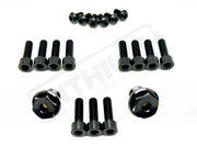 TS Titanium FastAce Fork Bolt Kits ALX13RC (2.0) and AHX12RV (3.0) - Black / ALX13RC (2.0) / With Axle-end Bolts
