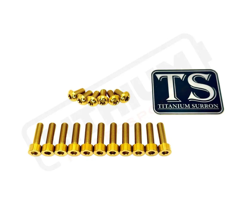 TS Titanium FastAce Fork Bolt Kits ALX13RC (2.0) and AHX12RV (3.0) - Gold / ALX32RC (E-Ride Pro 3.0/SR) / Excludes