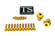 TS Titanium FastAce Fork Bolt Kits ALX13RC (2.0) and AHX12RV (3.0) - Gold / ALX32RC (E-Ride Pro 3.0/SR) / With Axle-end