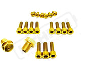 TS Titanium FastAce Fork Bolt Kits ALX13RC (2.0) and AHX12RV (3.0) - Gold / ALX13RC (2.0) / With Axle-end Bolts