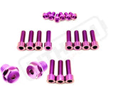 TS Titanium FastAce Fork Bolt Kits ALX13RC (2.0) and AHX12RV (3.0) - Purple / ALX13RC (2.0) / With Axle-end Bolts