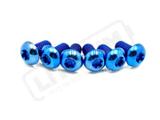 TS Titanium Front Rotor Bolts - E-Moto - Titanium Bolts