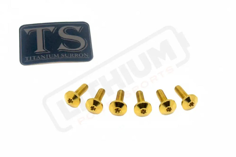 TS Titanium Front Rotor Bolts - E-Moto - Gold / 4. Altis Sigma 2024 & 2025 (M5x16mm) - Titanium Bolts