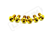 TS Titanium Front Rotor Bolts - E-Moto Gold Front Rotor Screws M5x10mm