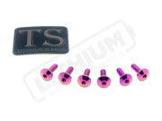 TS Titanium Front Rotor Bolts - E-Moto - Purple / 4. Altis Sigma 2024 & 2025 (M5x16mm) - Titanium Bolts