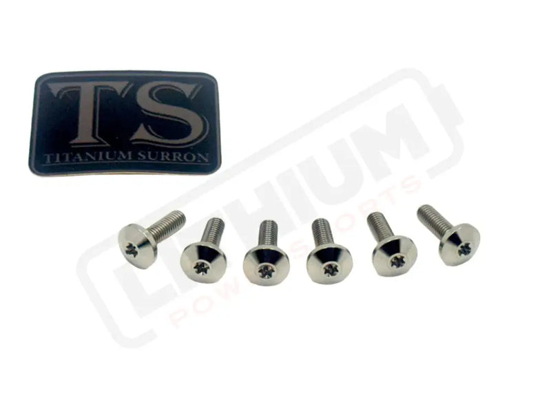 TS Titanium Front Rotor Bolts - E-Moto - Silver (raw) / 4. Altis Sigma 2024 & 2025 (M5x16mm) - Titanium Bolts