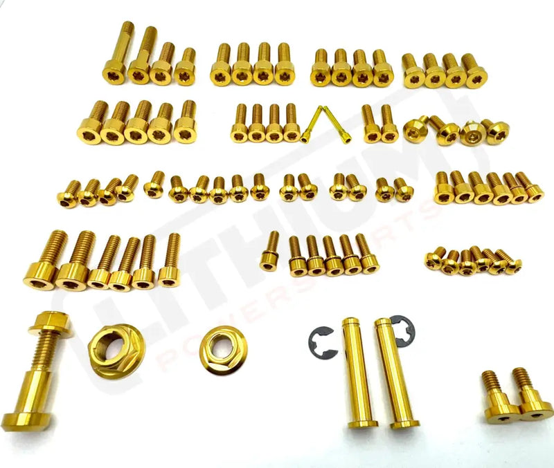 TS Titanium Full Body Kit - ERide Pro SR Gold / 2024 (see note above) ERP SR Titanium Bolt Kits