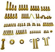 TS Titanium Full Body Kit - Surron LBX Segway X160 X260 - Titanium Bolts