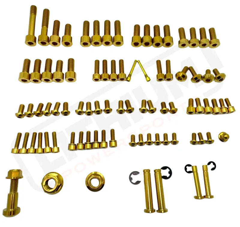 TS Titanium Full Body Kit - Surron LBX Segway X160 X260 - Titanium Bolts