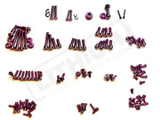 TS Titanium Full Body Kit - Surron LBX, Segway X160 X260 - Lithium Powersports