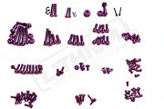 TS Titanium Full Body Kit - Talaria MX3 MX4 - Purple / MX3/MX4 Standard 20mm Caliper Bolts for 203mm Rotor - Titanium