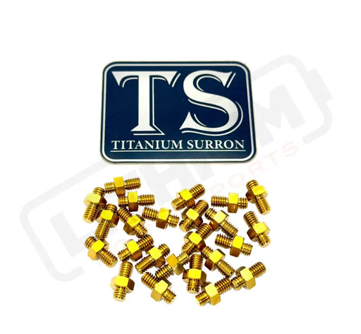 TS Titanium Grips for E-moto Pegs (24 pcs) - Titanium Bolts