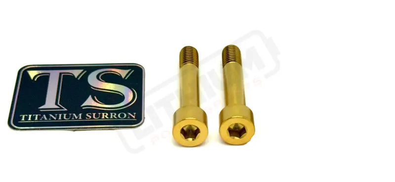 TS Titanium Hardware for EMoto Worx Shift Lock (LBX XXX ERP Ultra Bee) Gold / LBX-XXX-E-Ride Pro Foot lock hardware