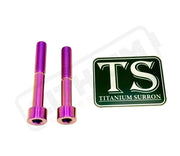 TS Titanium Hardware for EMoto Worx Shift Lock (LBX XXX ERP Ultra Bee) - Purple / LBX - XXX - E-Ride Pro - Titanium