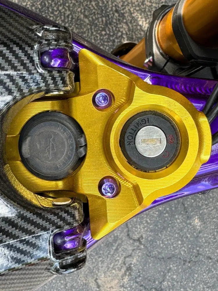 TS Titanium Ignition Cover Bolts (Set of Two) Surron Segway Similar E-moto Ignition Cover Bolts