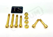 TS Ventus One Titanium Rear Suspension/ Linkage Bolt Kit Gold / With OEM Style Triangle Bolts (6 bolts) Titanium Bolts