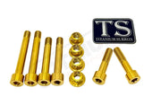 TS Ventus One Titanium Rear Suspension/ Linkage Bolt Kit - Ventus One / Gold / With OEM Style Triangle Bolts (6 bolts)