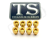 Ventus V9600 Heat Sink Titanium Bolt Kits (8 pcs) - Gold - Titanium Bolts