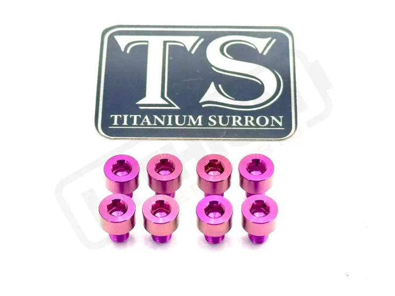 Ventus V9600 Heat Sink Titanium Bolt Kits (8 pcs) - Purple - Titanium Bolts